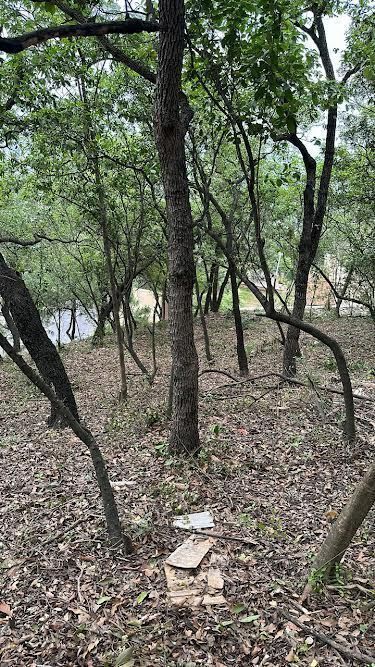 Valle de San Angel