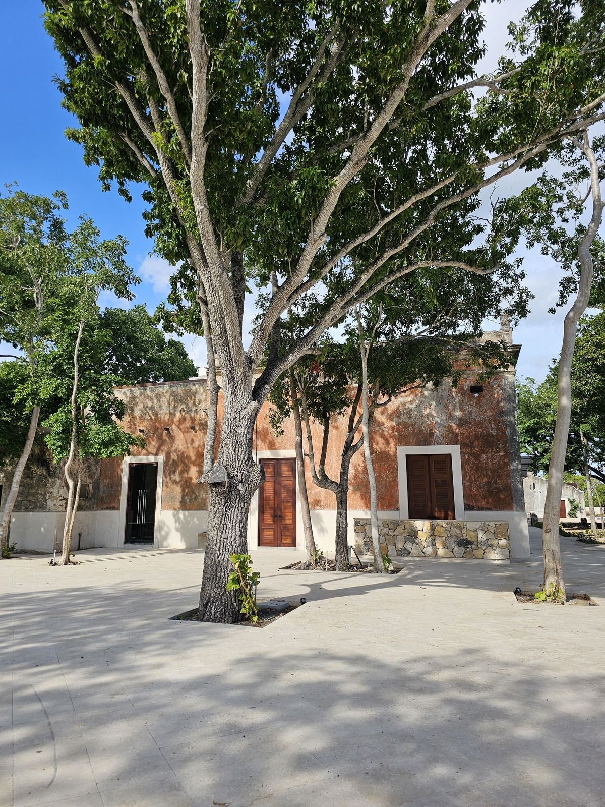 4 de 9
