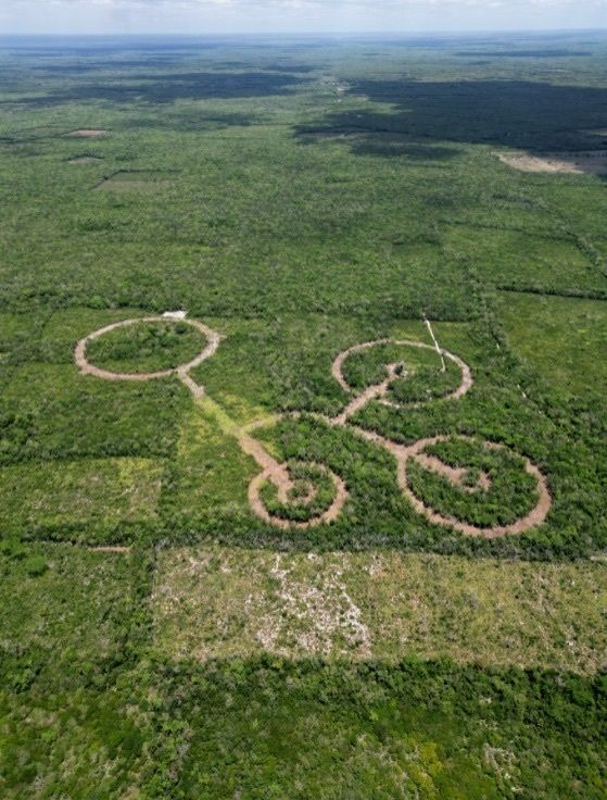 Terreno en Temozón Norte, Mérida, foto 2 de 8