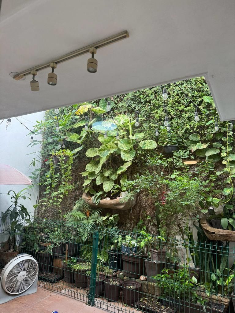 Casa en Paseo de Cumbres, Monterrey, foto 17 de 28