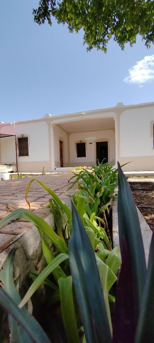 Amplia Propiedad Céntrica en Venta, Jesús Carranza. - foto 3