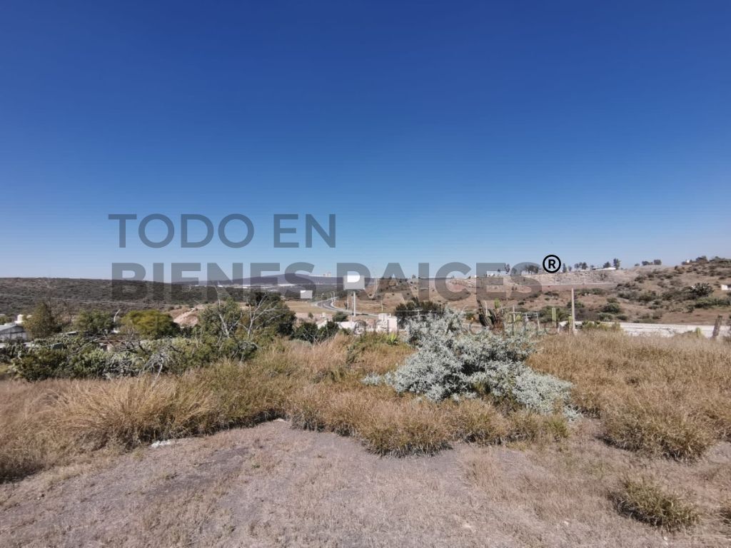 3 de 8