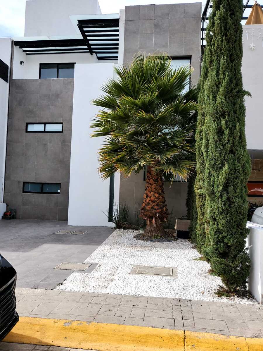 1 de 17