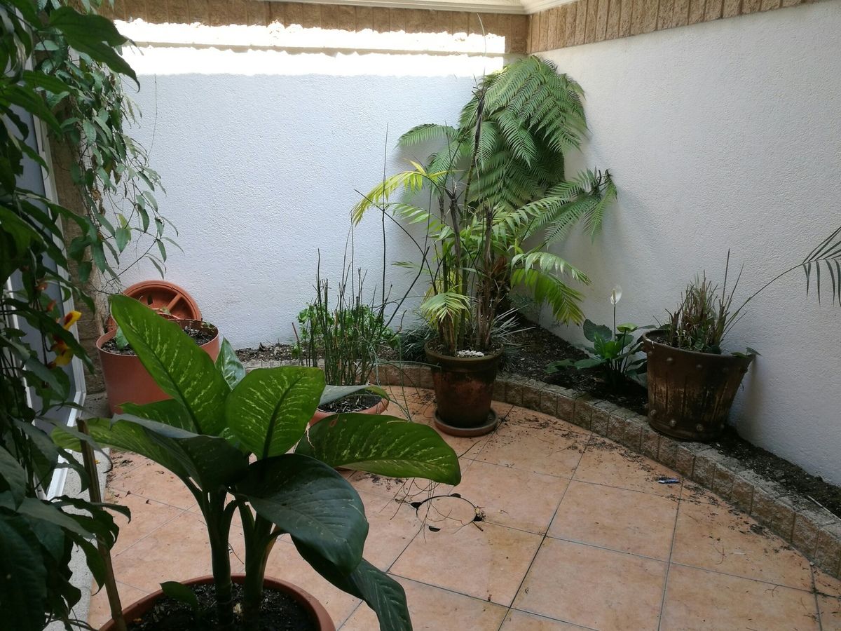 5 de 11
