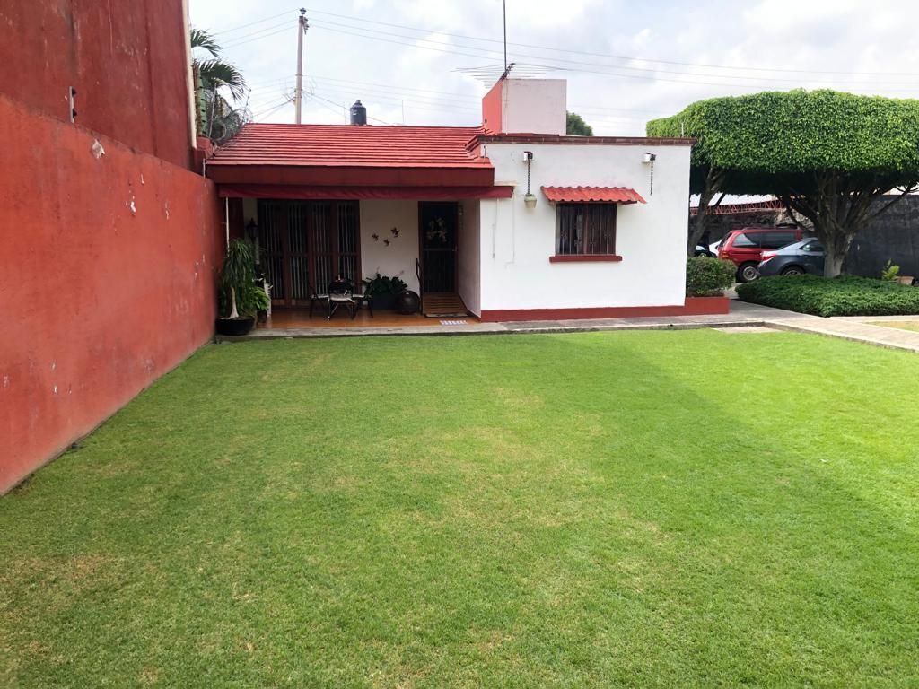 5 de 31