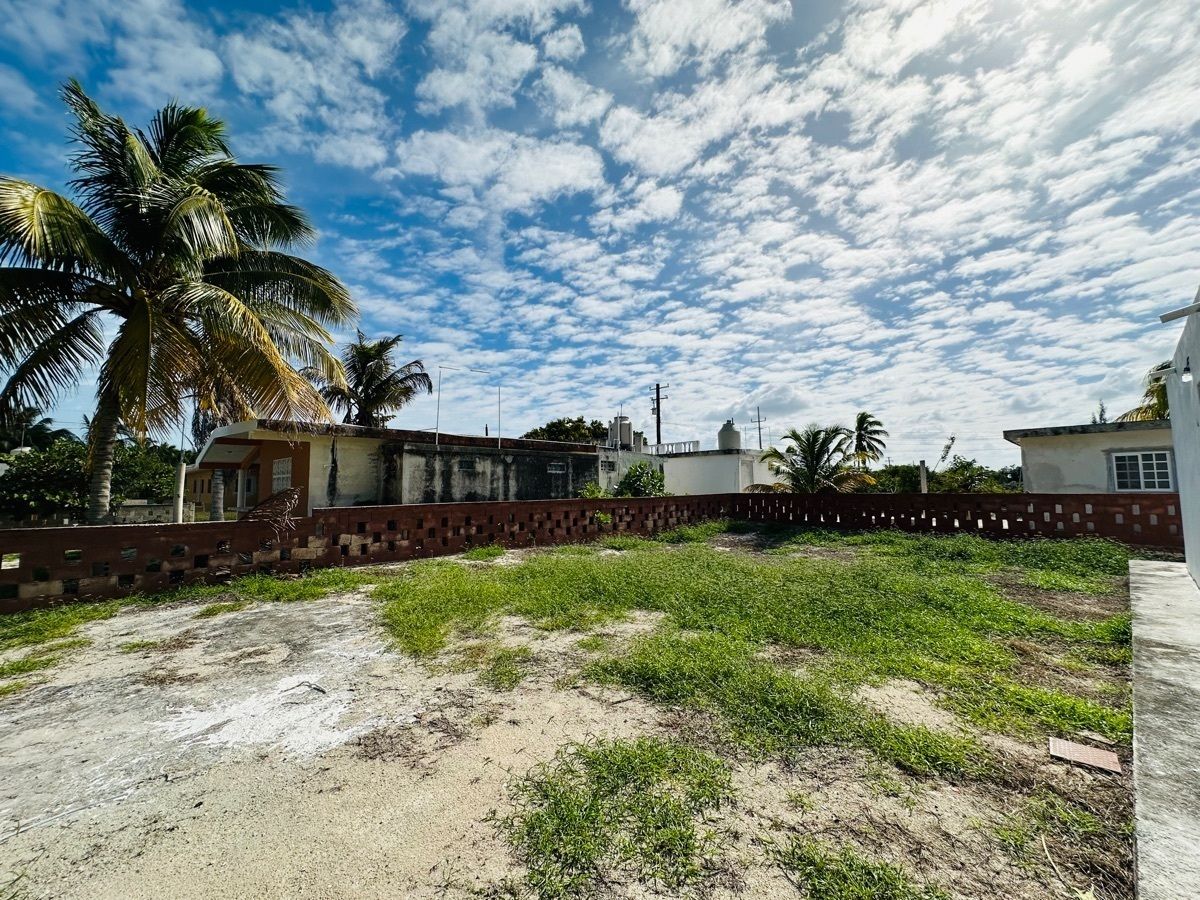 2 of 5: vista fondo del terreno