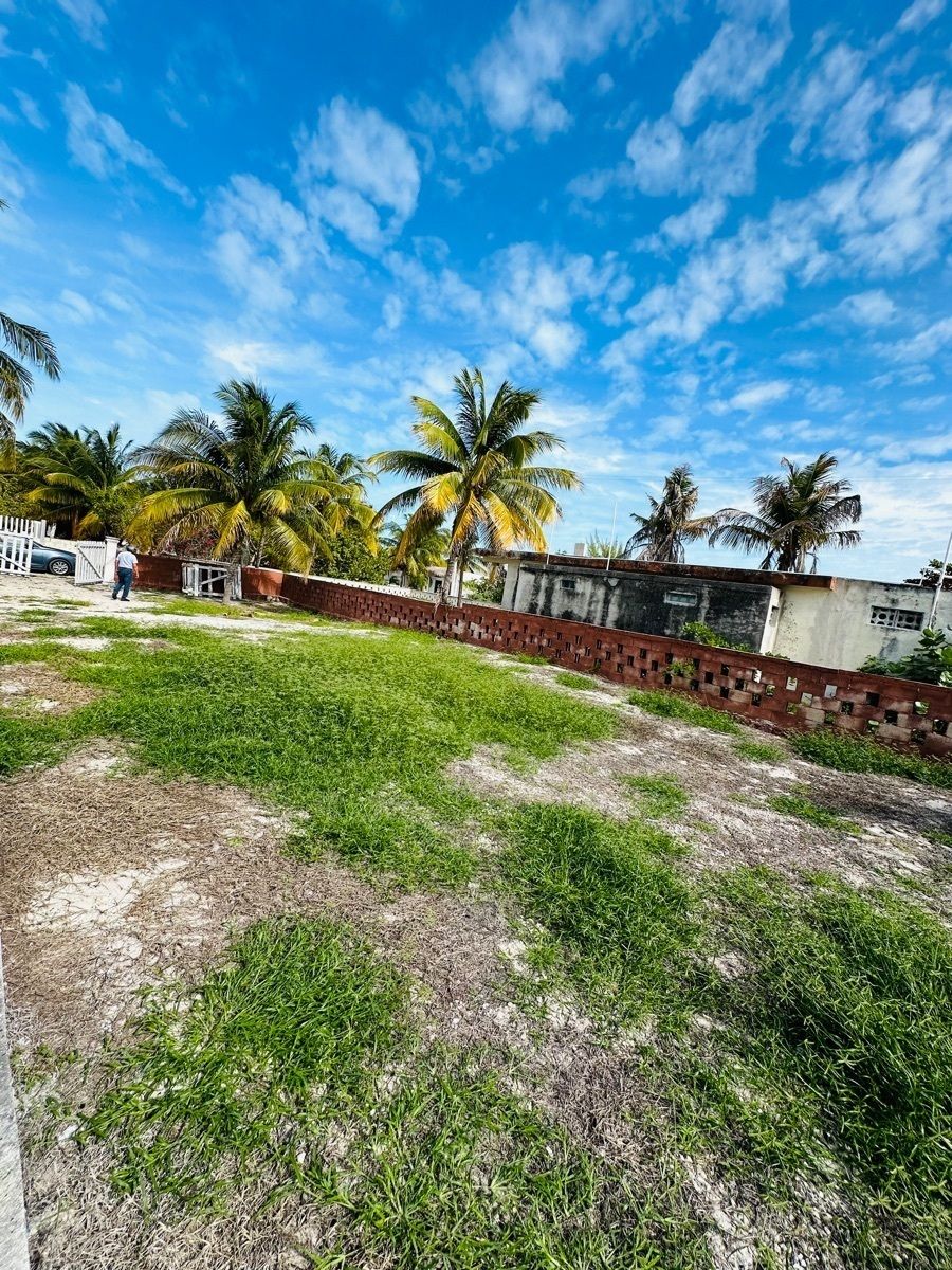 4 of 5: vista de la amplitude del terreno