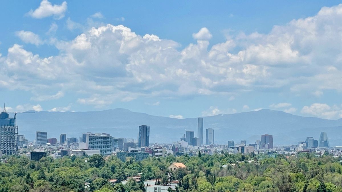 20 de 43