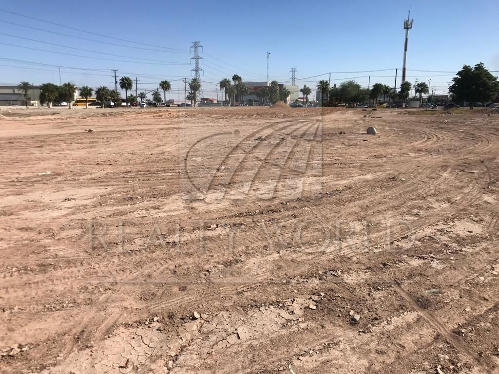 Imagen 4 de 5
