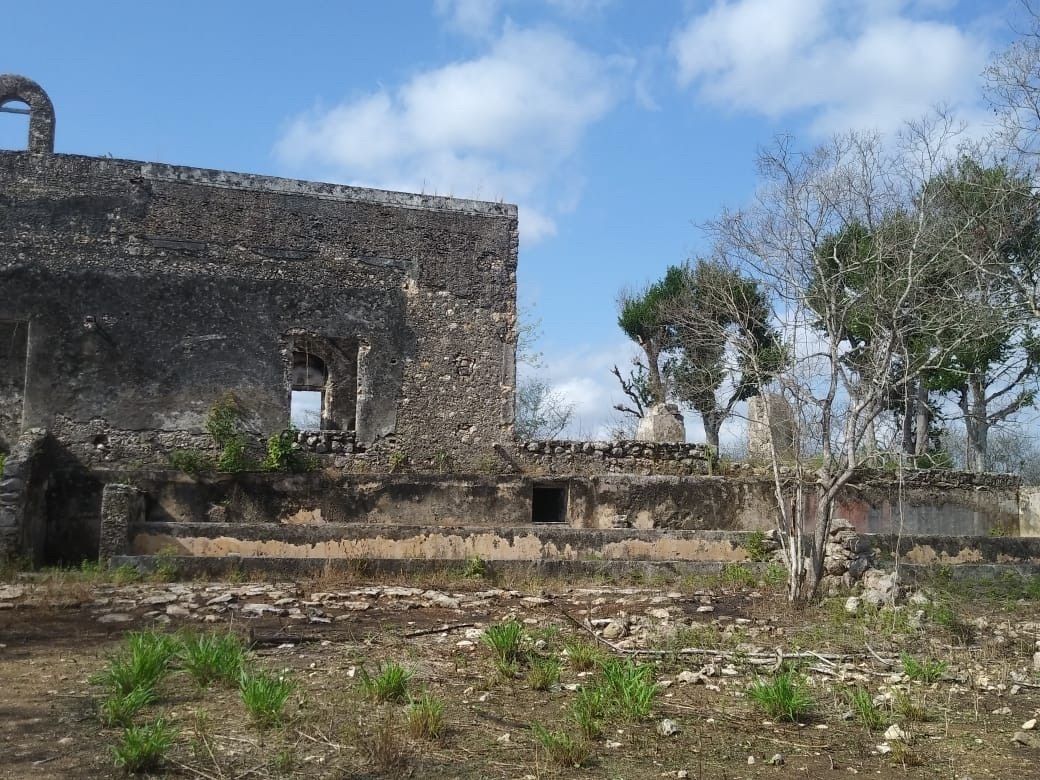 Terreno de 17 has con casco de Hacienda - foto 4
