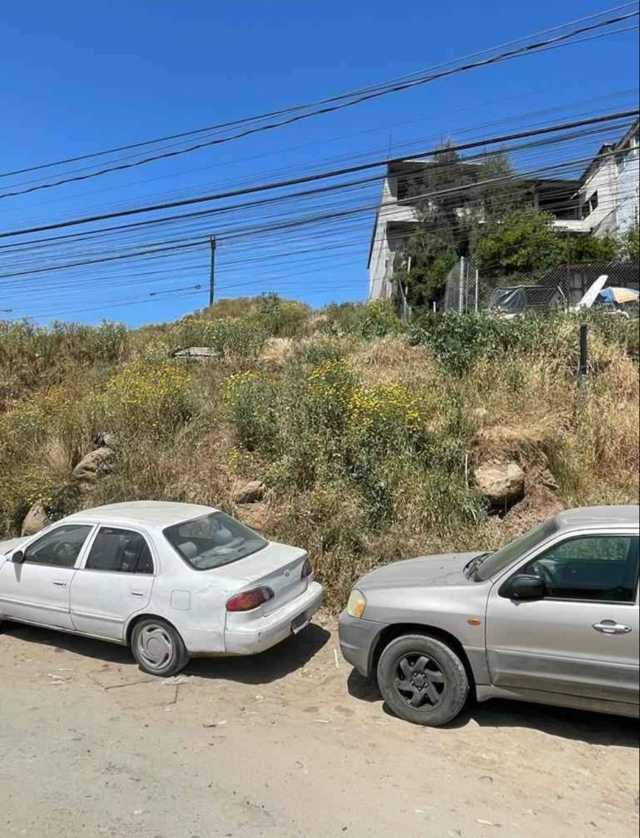 3 de 12