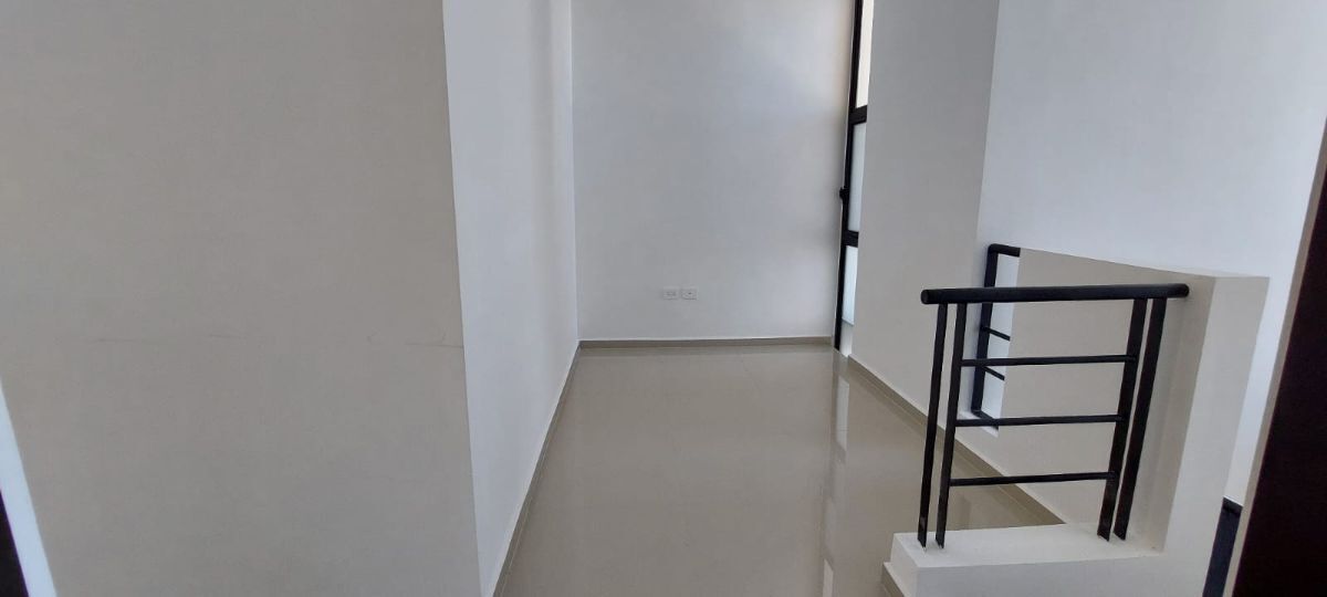 23 de 29: área de estudio