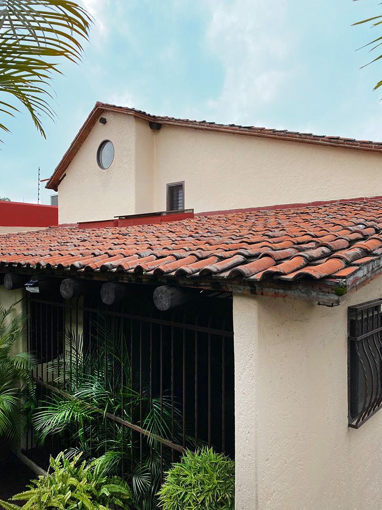 8 de 31