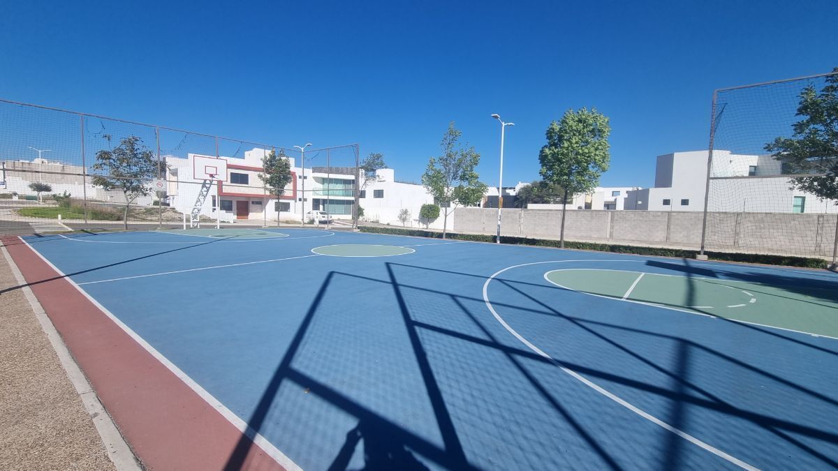 3 de 17