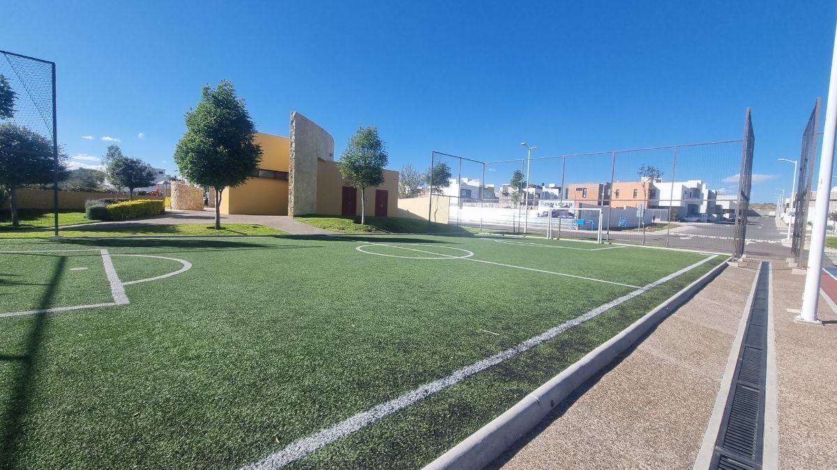 4 de 17