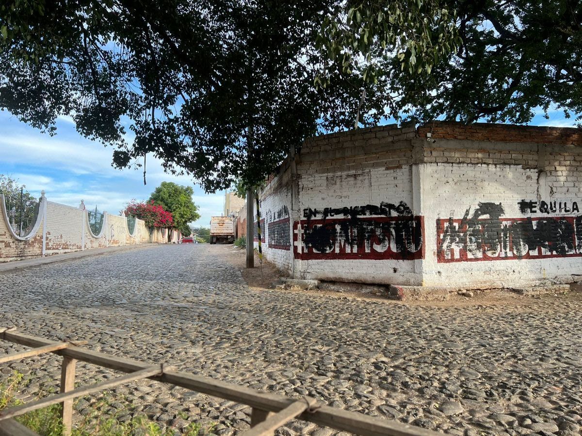 Foto 6