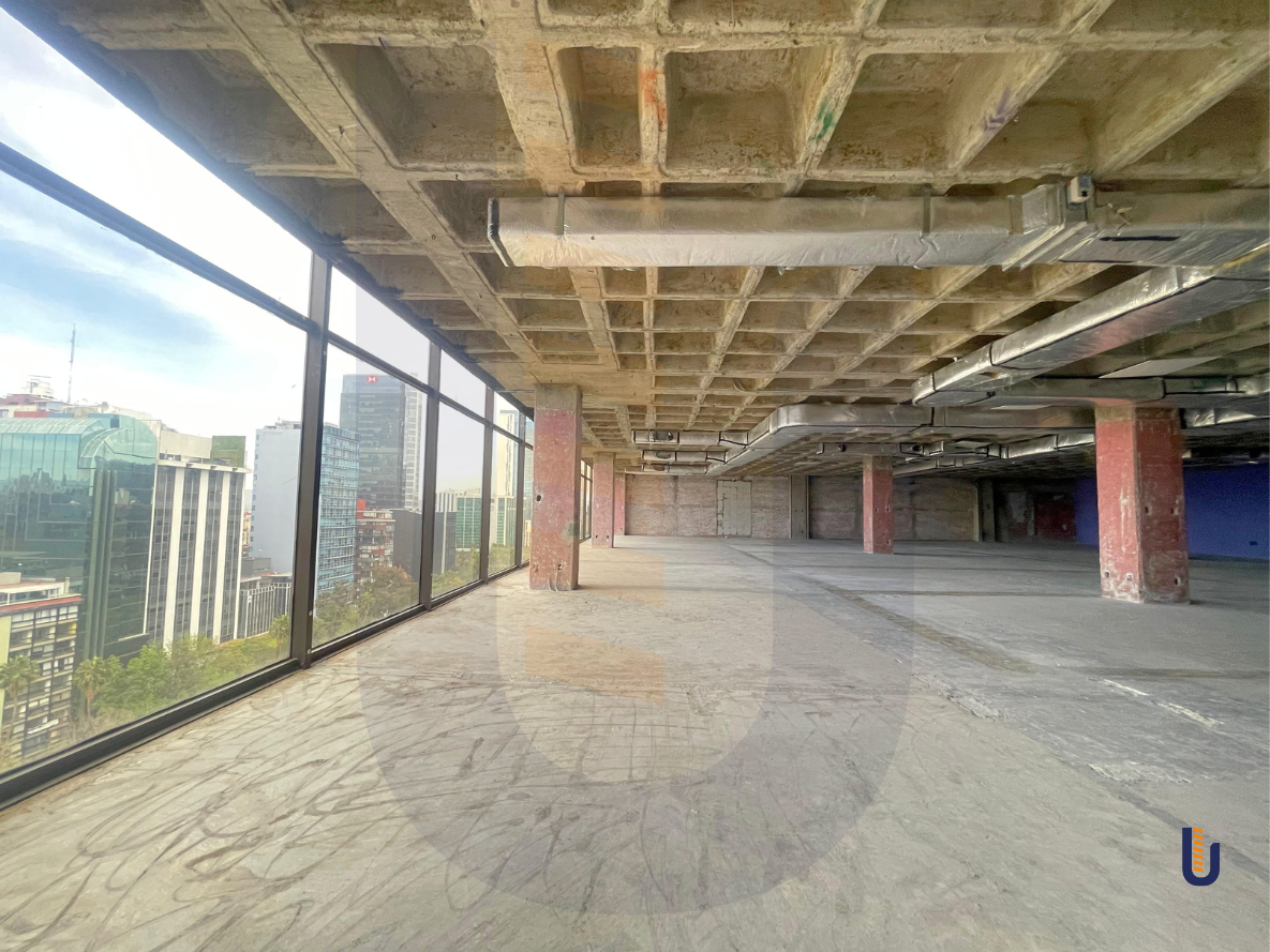 1 of 13