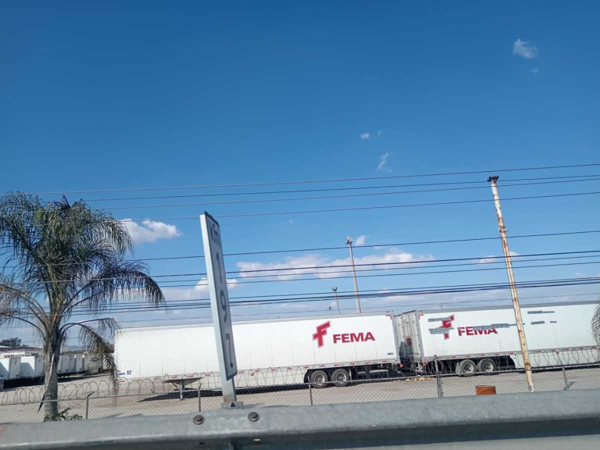 8 de 14