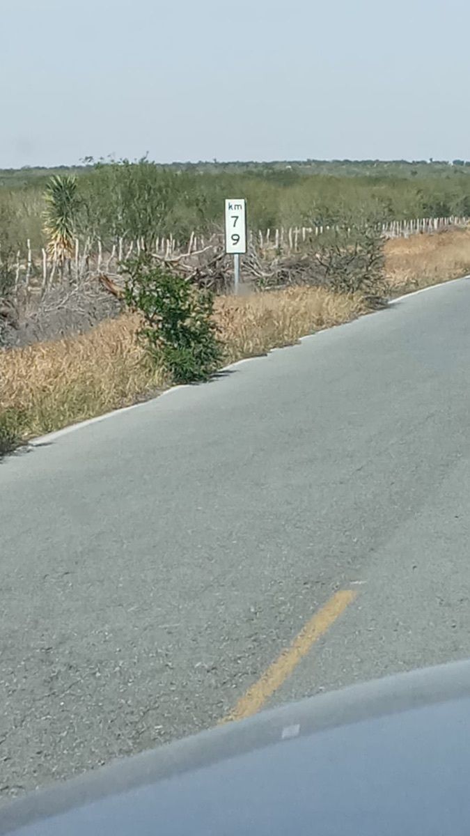 5 de 10