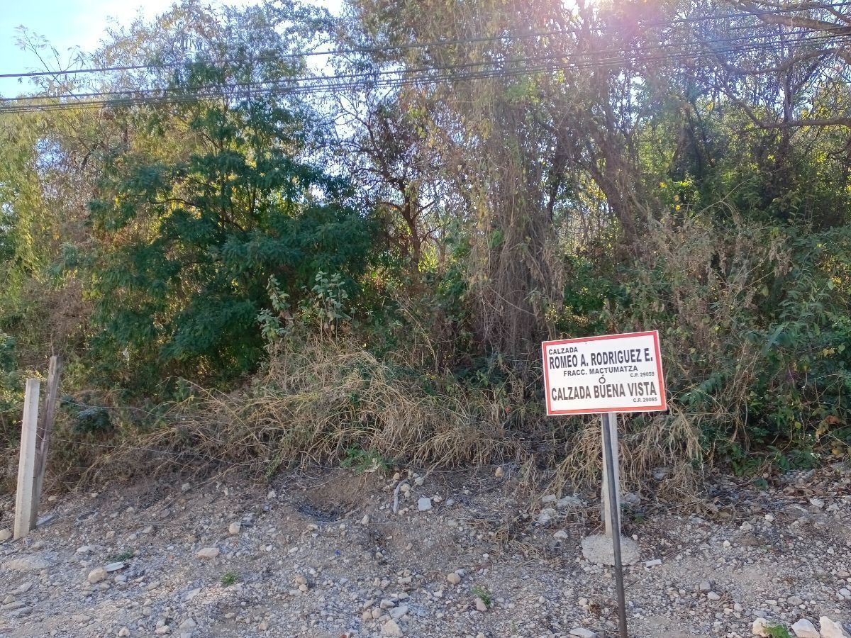FRENTE DEL TERRENO