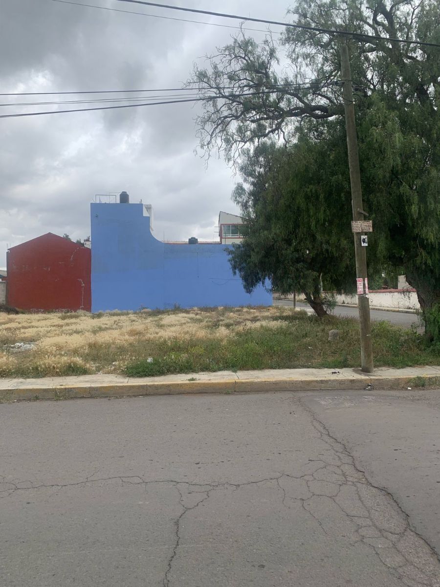 2 de 8