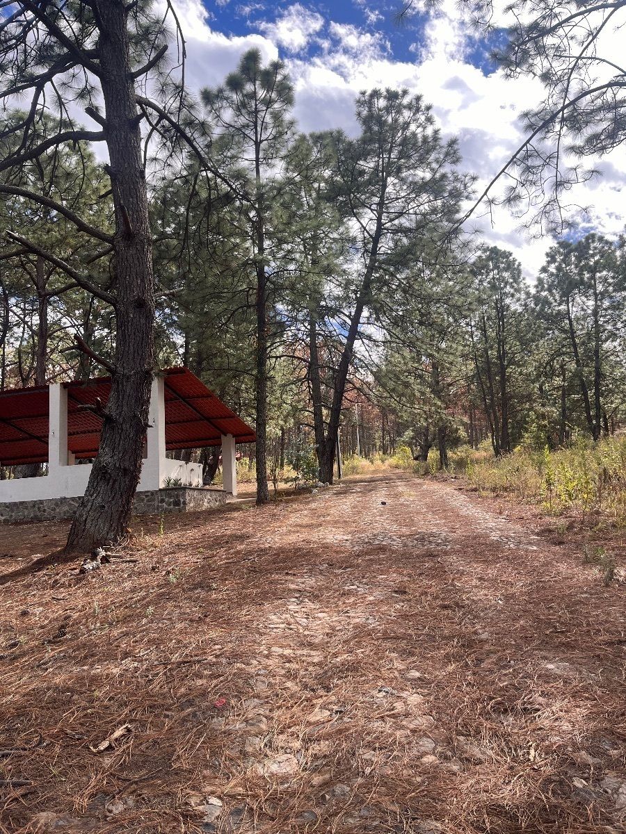 Terreno en Tapalpa, Tapalpa, foto 8 de 27
