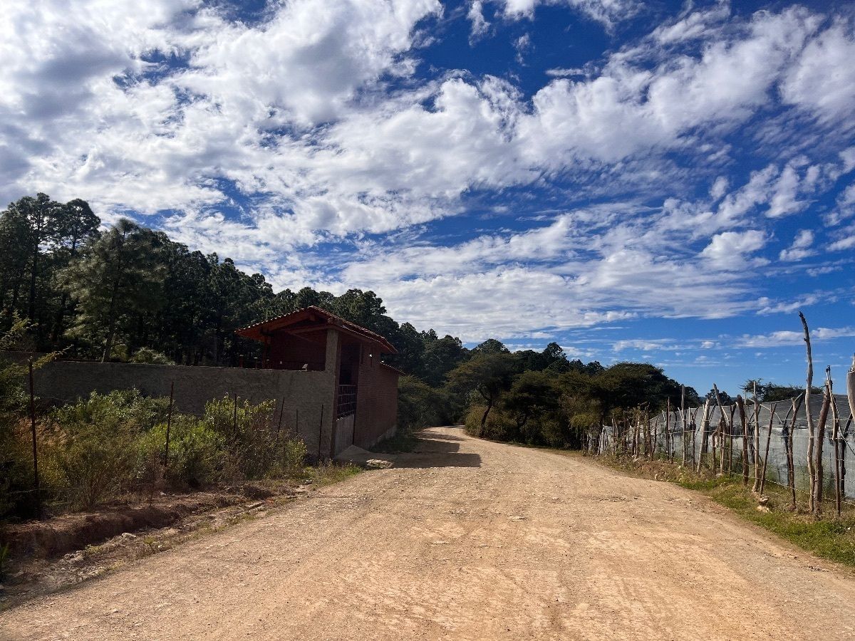 Camino hacia Fraccionamiento San Fernando