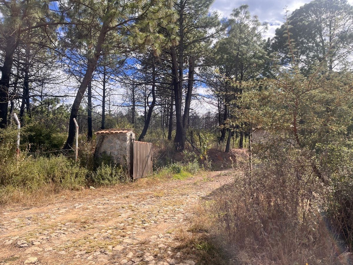 Terreno en Tapalpa, Tapalpa, foto 12 de 27
