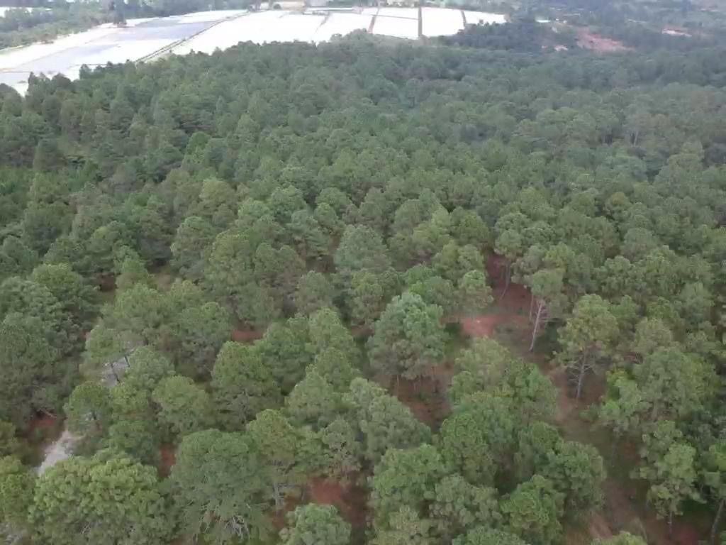 Vista aérea, foto 13 de 27