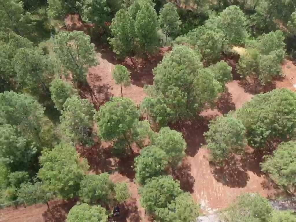 Terreno en Tapalpa, Tapalpa, foto 14 de 27