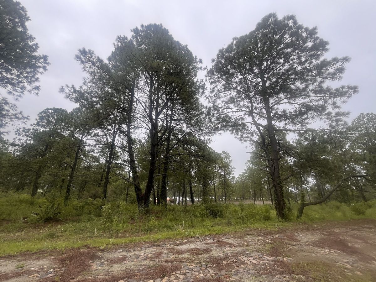 Terreno en Tapalpa, Tapalpa, foto 19 de 27