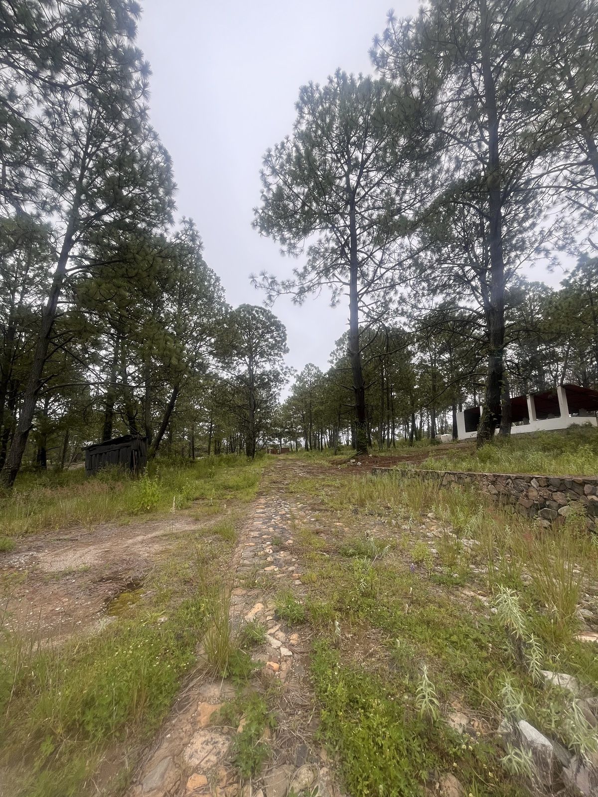 Terreno en Tapalpa, Tapalpa, foto 21 de 27