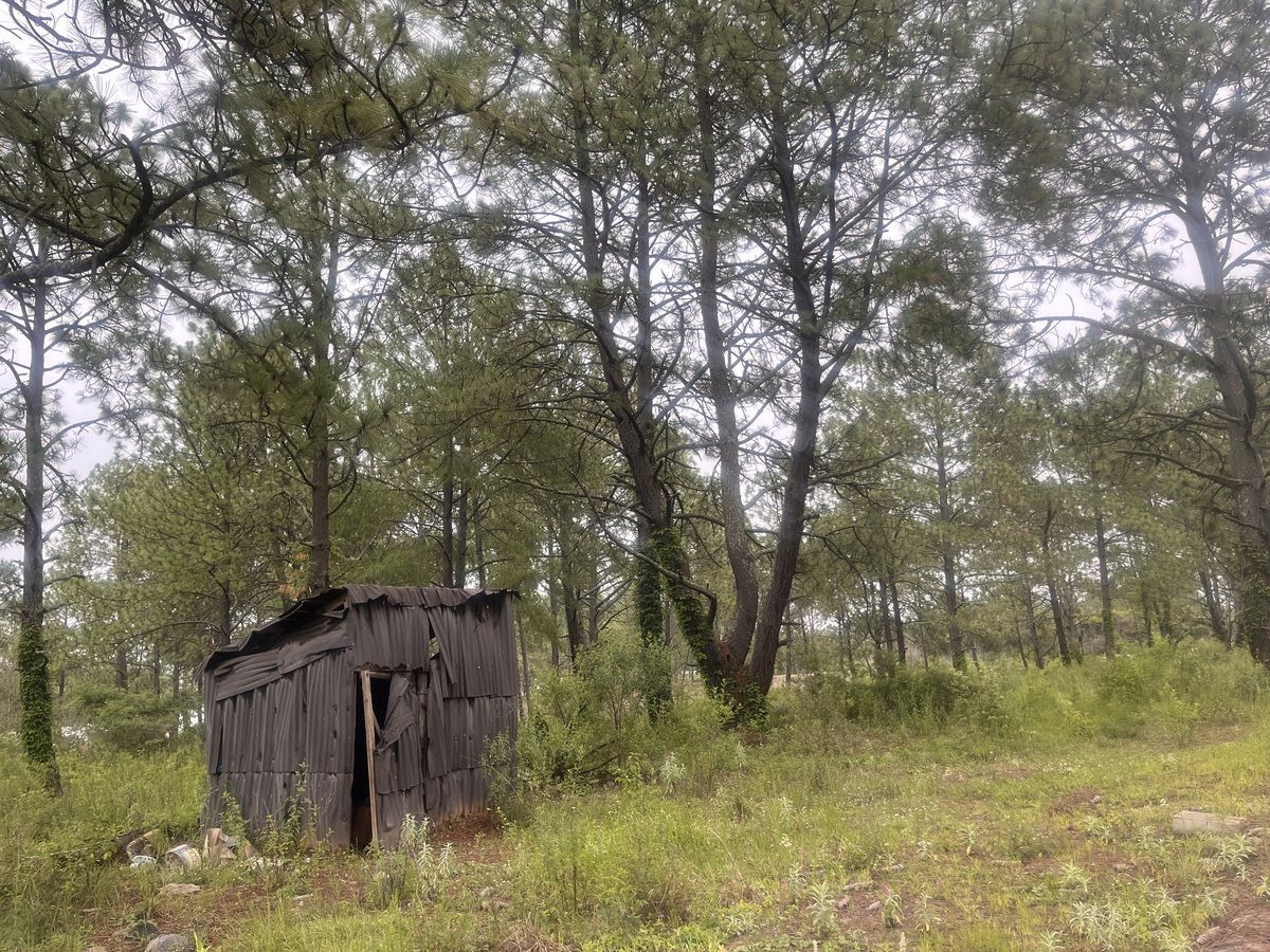 Terreno en Tapalpa, Tapalpa, foto 24 de 27