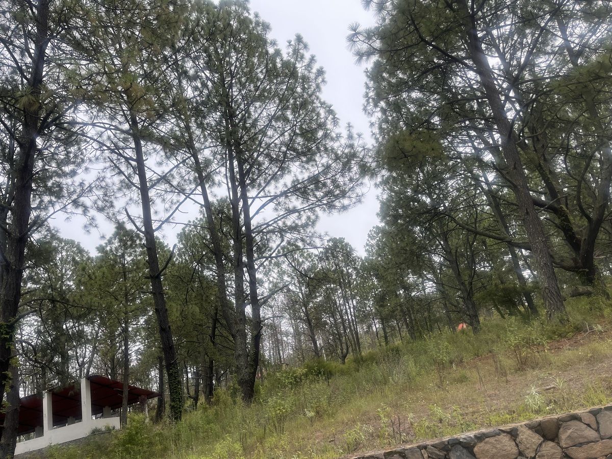 Terreno en Tapalpa, Tapalpa, foto 25 de 27