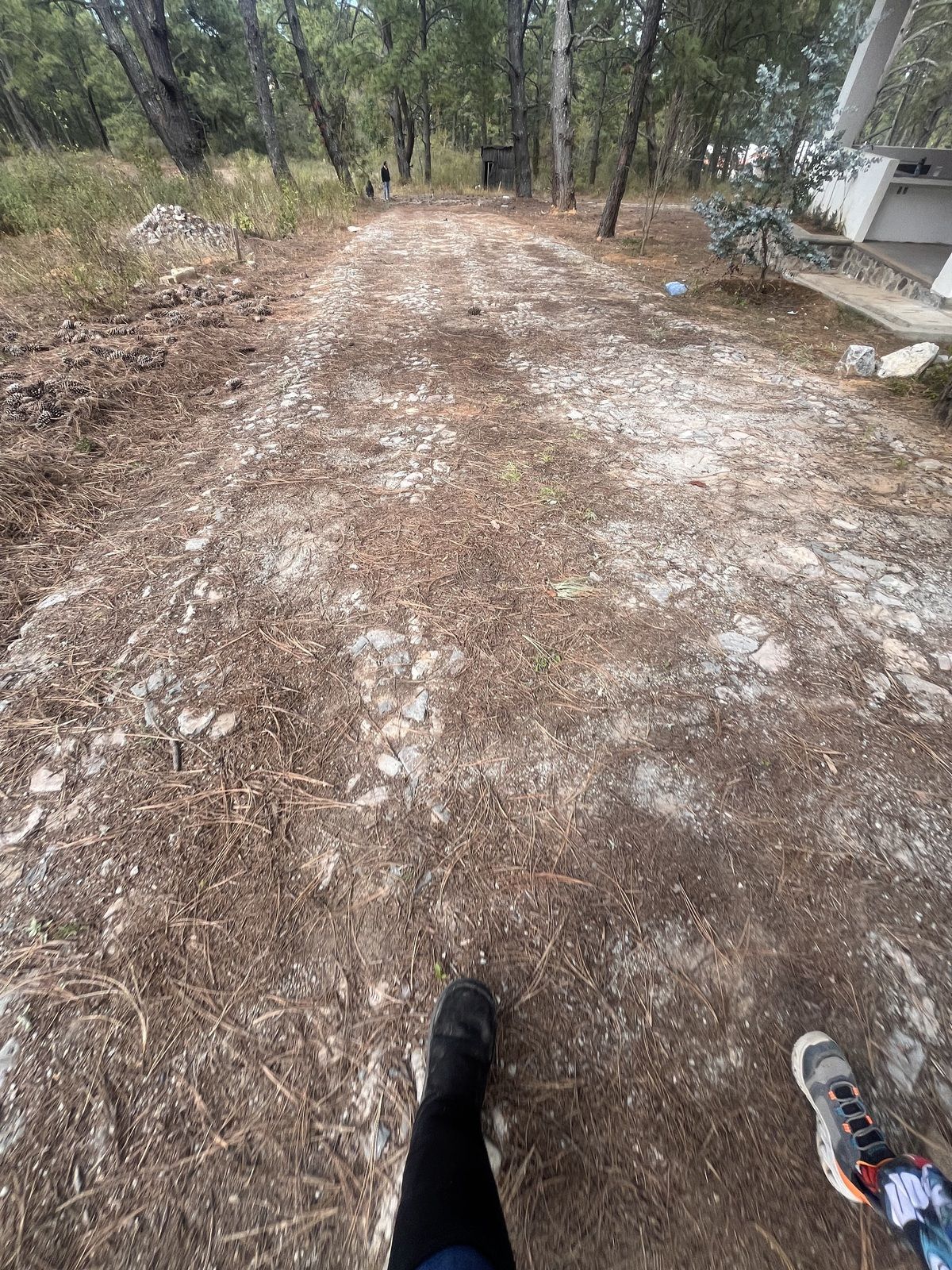 Terreno en Tapalpa, Tapalpa, foto 27 de 27