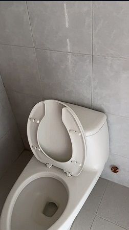 16 de 33