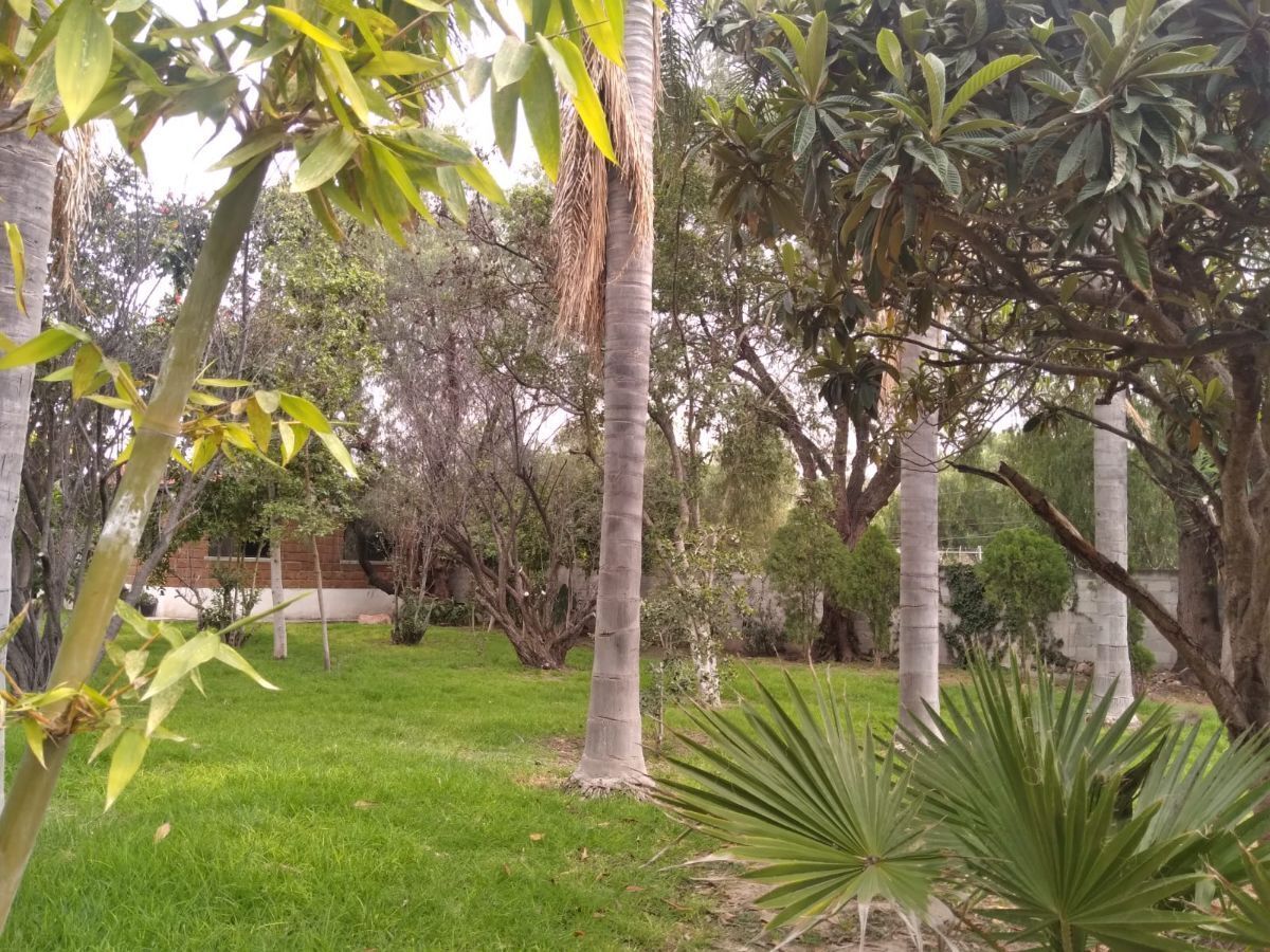 Imagen 3 de 10
