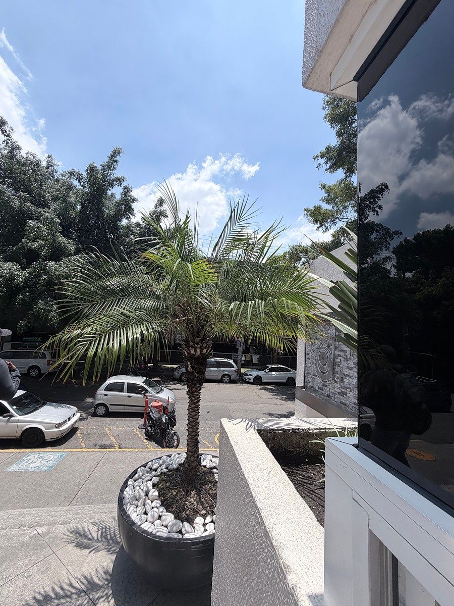 Apartamento em Ampliación Del Gas, Azcapotzalco, foto 8 de 34
