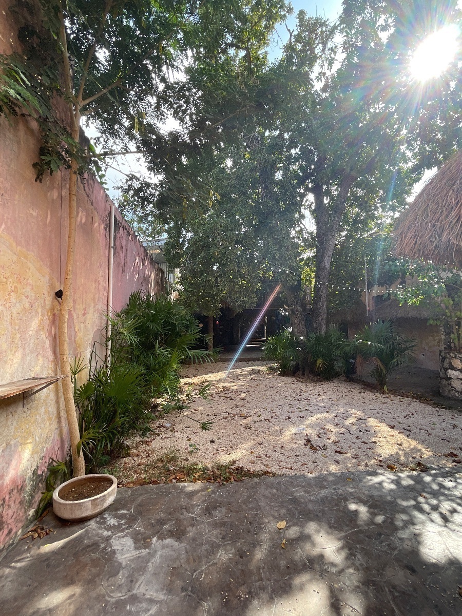 5 de 19