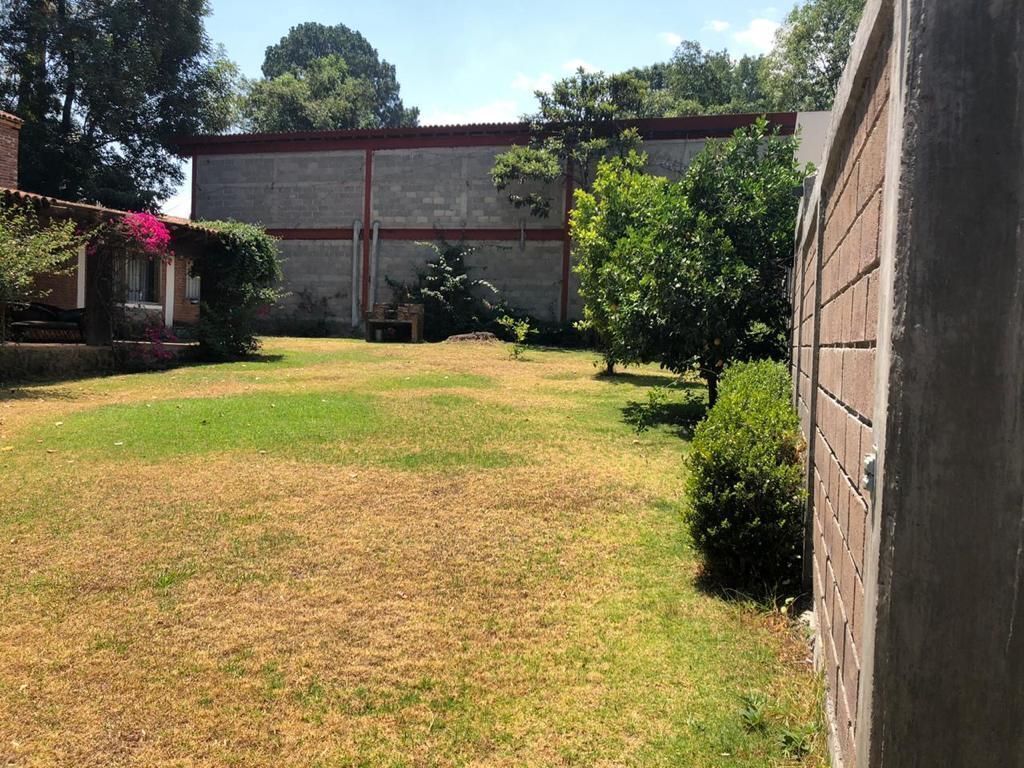 3 de 6