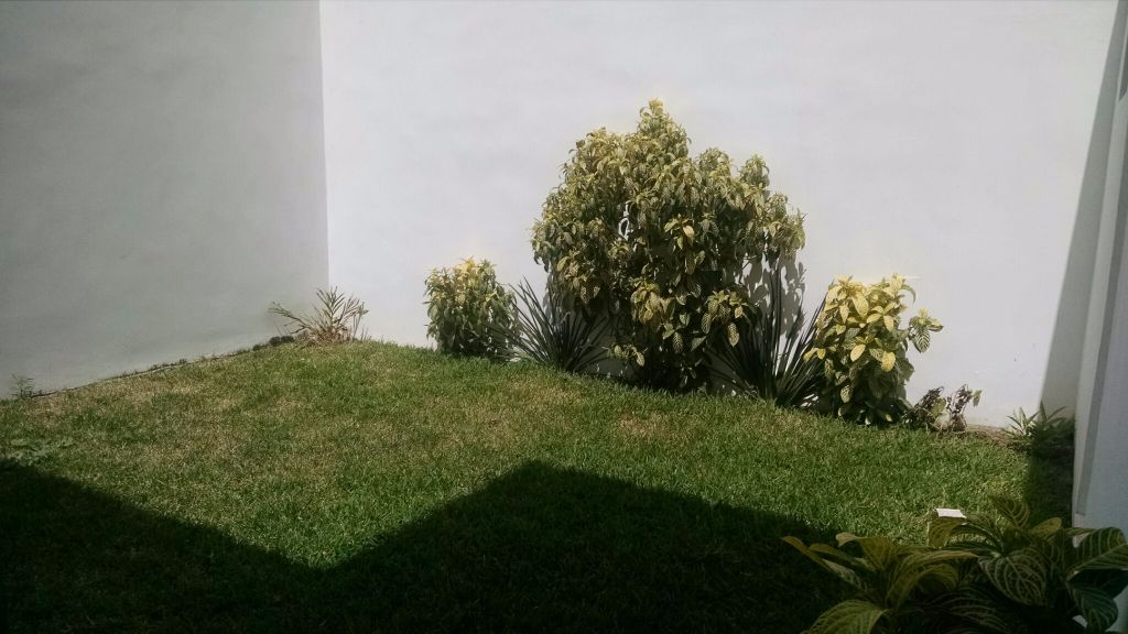 Casa en Altabrisa, Mérida, foto 3 de 12