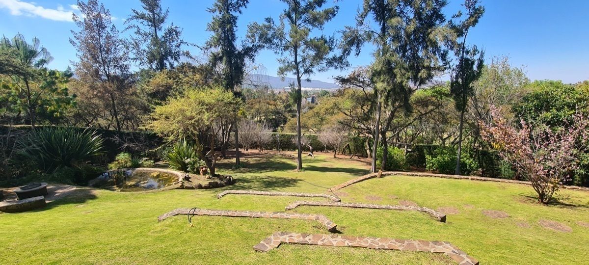 5 de 17