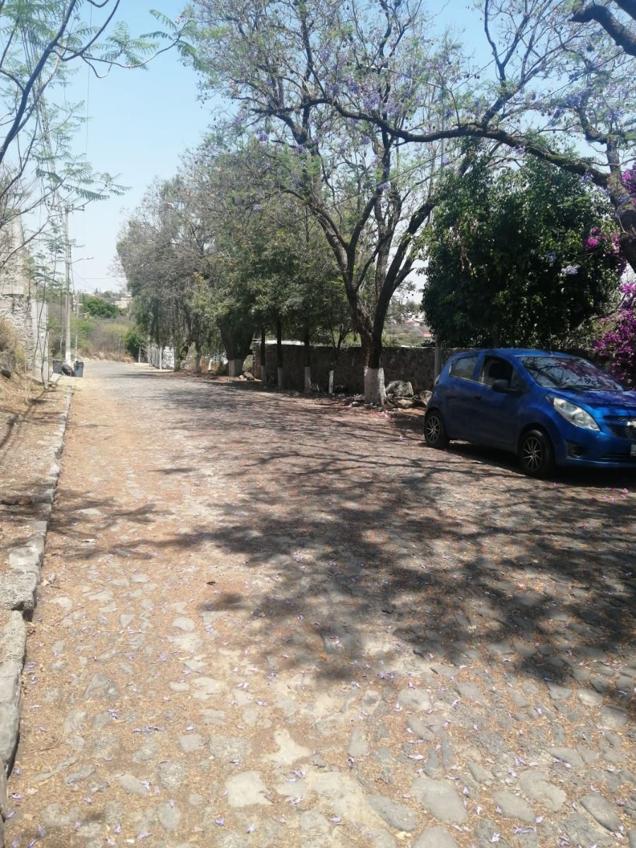 2 de 6