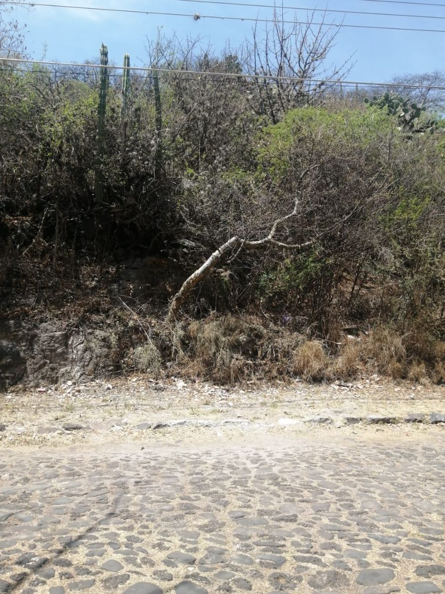 5 de 6