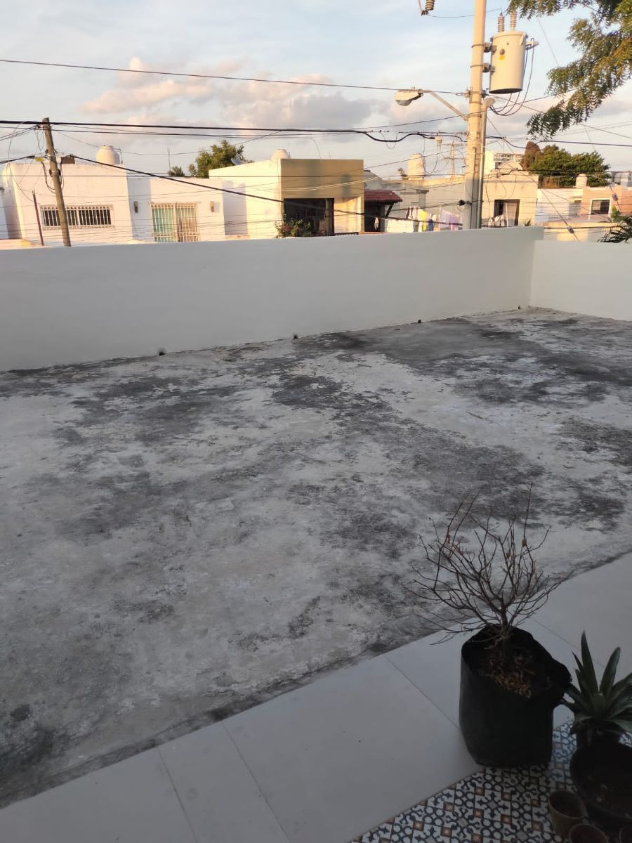 23 de 24