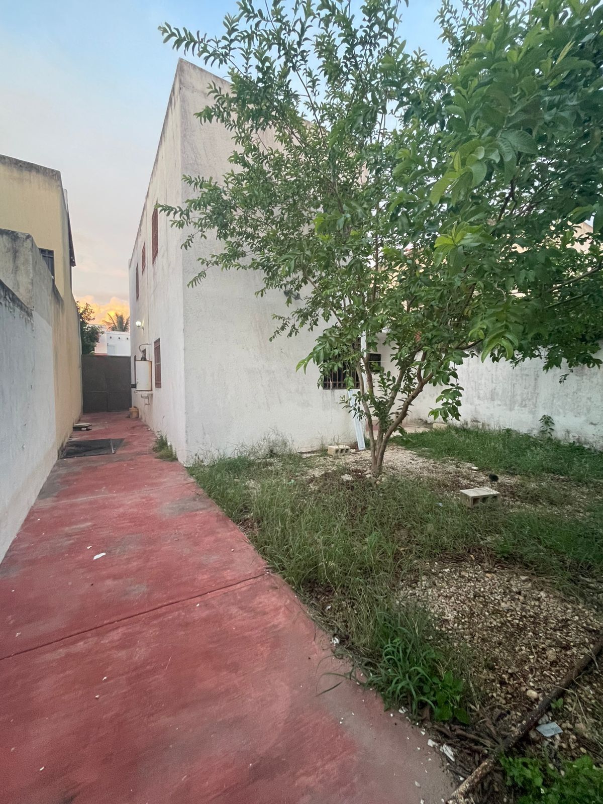 12 de 26