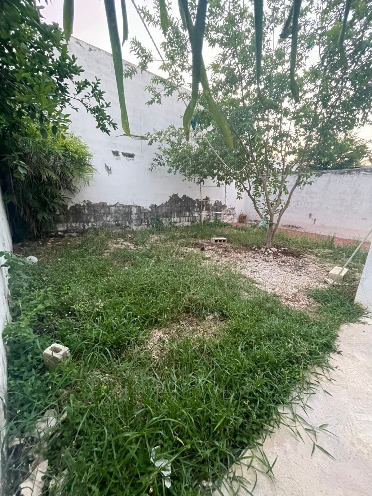 20 de 26