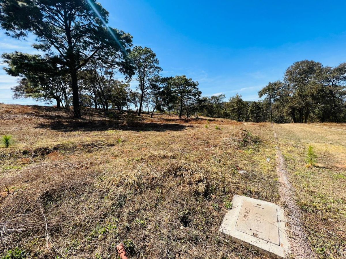 Terreno En Venta En Fraccionamiento Jardin Real Mazamitla - foto 2