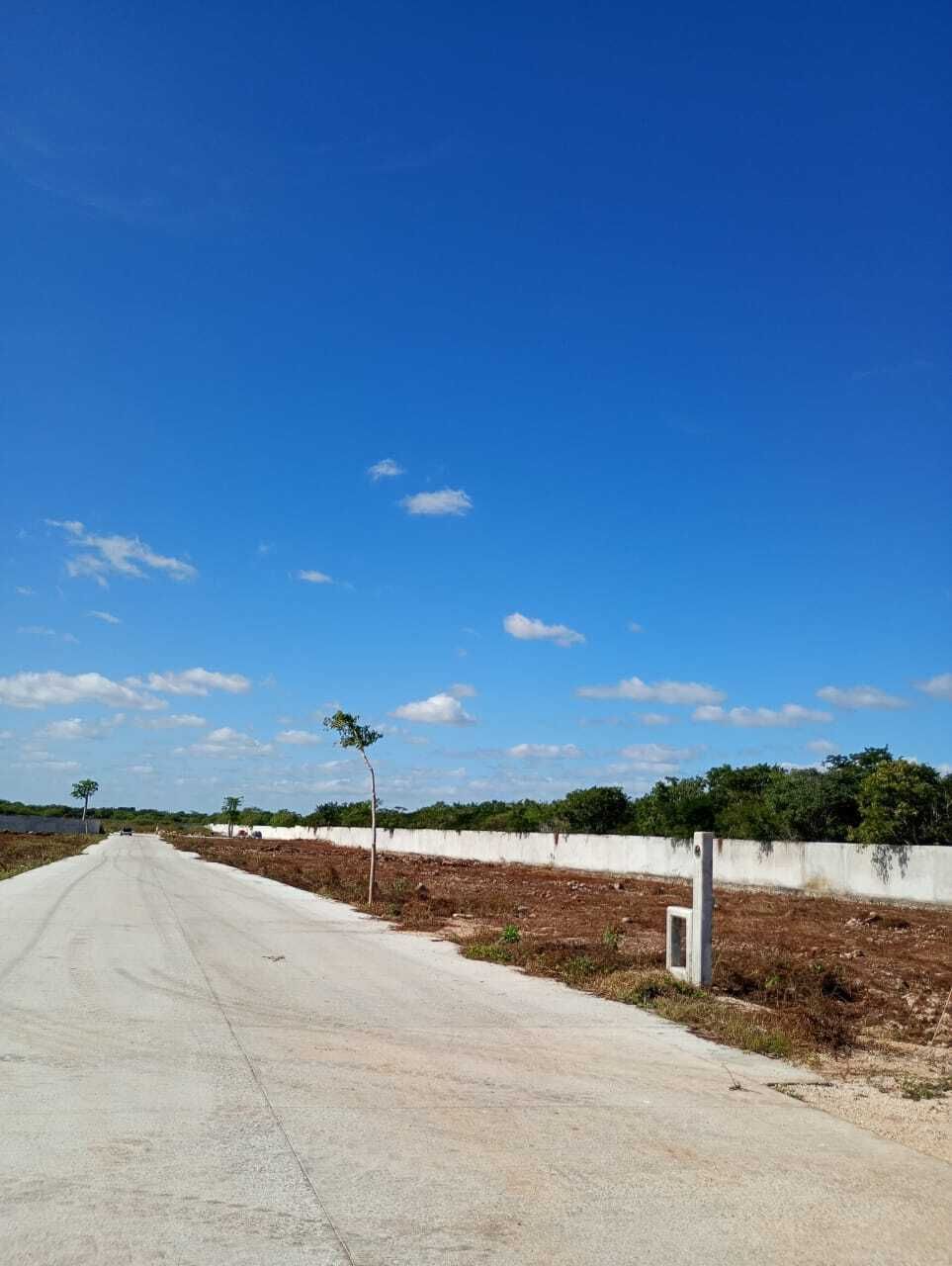 VENTA DE LOTES RESIDENCIALES CHOLUL, YUC.