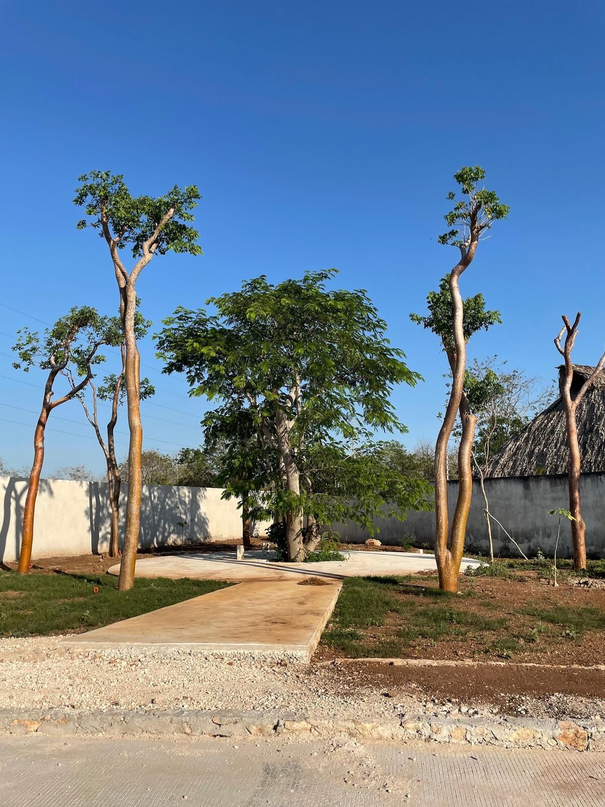 VENTA DE LOTES RESIDENCIALES CHOLUL, YUC.